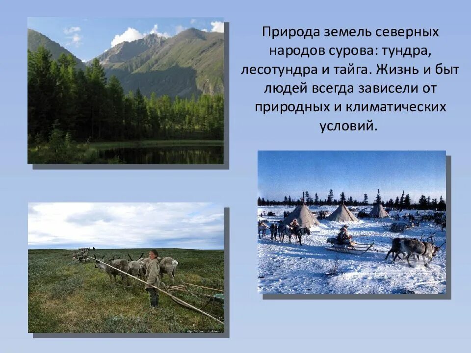 Два населенных пункта в тундре. Жизнь и быт людей в тундре и лесотундре. Жизнь и быт людей лесотундры в России. Природа северных народов. Быт людей севера.