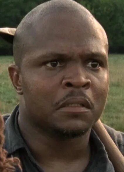 Тидог ходячие мертвецы. Ти-дог ходячие мертвецы. Ти-дог ходячие мертвецы. Ти-дог ходячие мертвецы. Тайриз ходячие мертвецы актер.