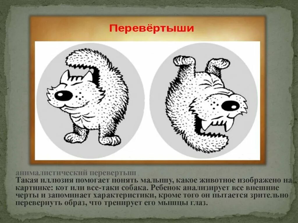 Оптические иллюзии перевертыши. Найти перевертыш. Иллюзии перевертыши. Картинки перевертыши. Иллюзия с лошадью.