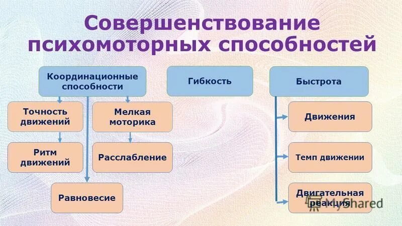Приведите пример способности человека Определения понятий физических качеств
