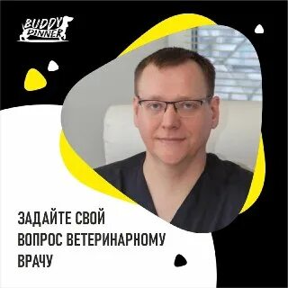 Бадди диннер