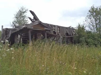 Шорохи дома