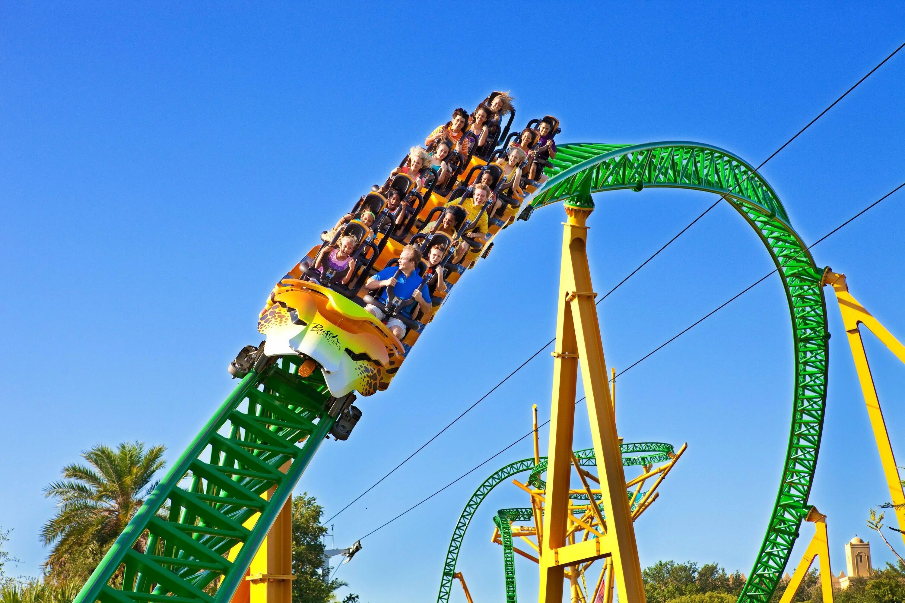 Роллер Коастер. Аттракцион Ride on a Rollercoaster. Парк аттракционов a Roller Coaster. Busch Gardens Tampa аттракционы.