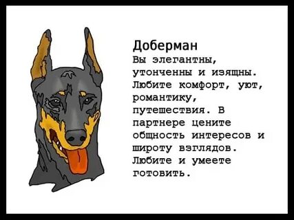 С точки зрения собак
