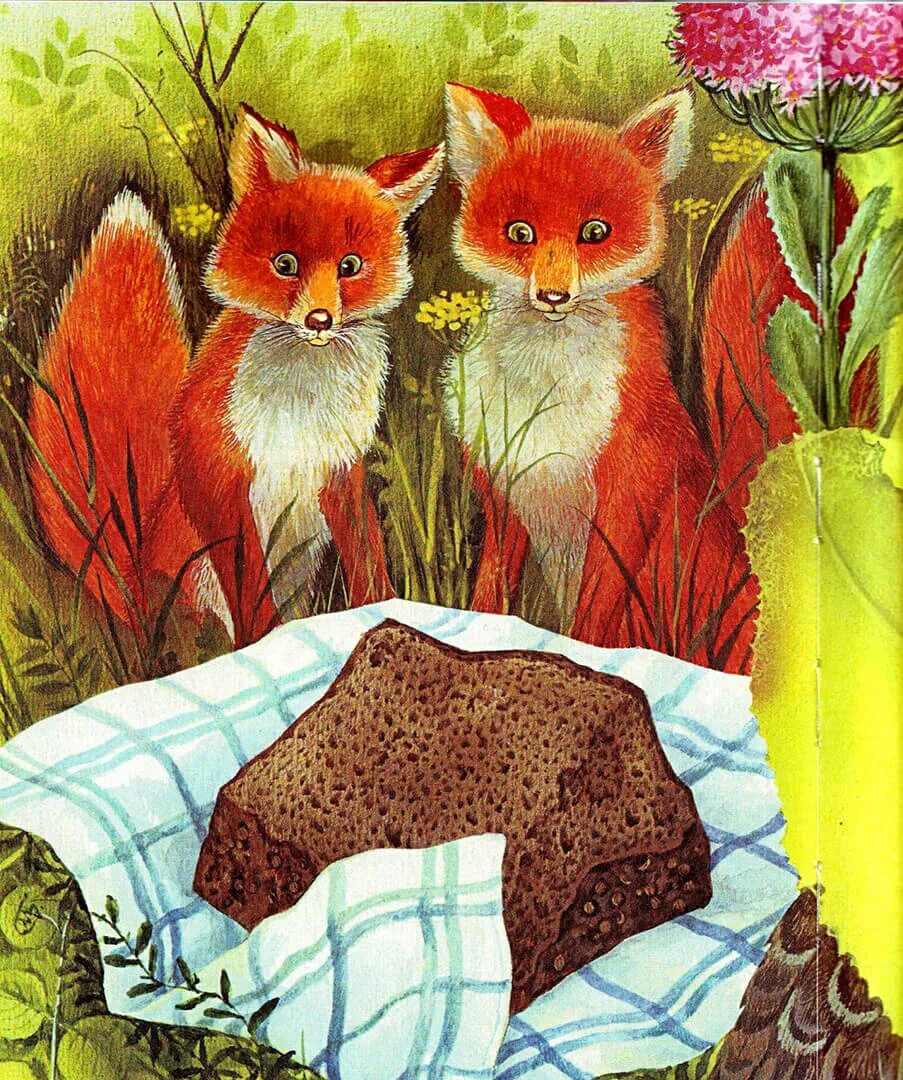 Книга пришвин лисичкин хлеб иллюстрации. Пришвин лисичкин хлеб. Иллюстрации к книге пришвина лисичкин хлеб. Рассказ пришвина лисичкин хлеб. "лисичкин хлеб", пришвин м.