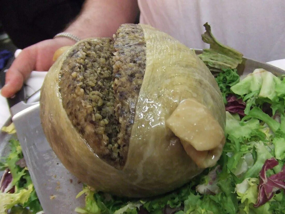 Национальное Шотландское блюдо Хаггис. Касу марцу сыр с живыми личинками. Casu Marzu сыр. Касу марцу черви. Мясо невкусное