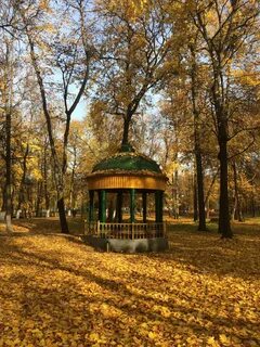 Выкса фото парка