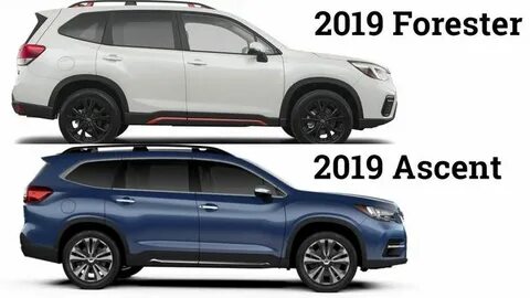 Субару форестер 2019 размеры