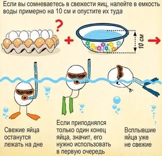 Яйцо всплывает в воде после варки