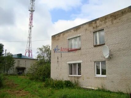 Мшинская ленинградская область лужский