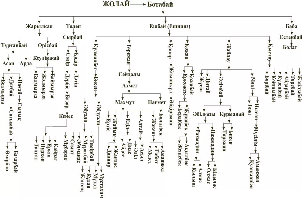 Родословная казахов младшего жуза. Род Керей Древо. Аргын караул Древо. Родословная Найманов. Кіші жүз ханы