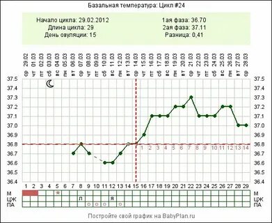 17 день цикла