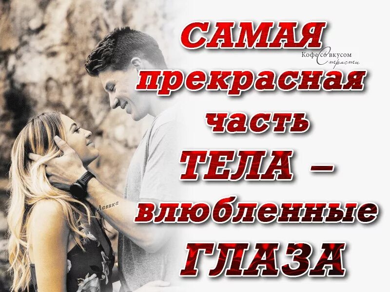 Глаза любовь цитаты. Статусы для влюбленных. цитаты про взгляд влюбленных. красивые цитаты про влюбленные глаза. влюбленные глаза цитаты.