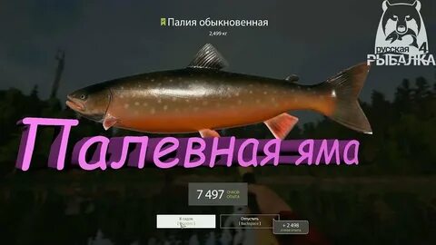 Рр4 спиннинг