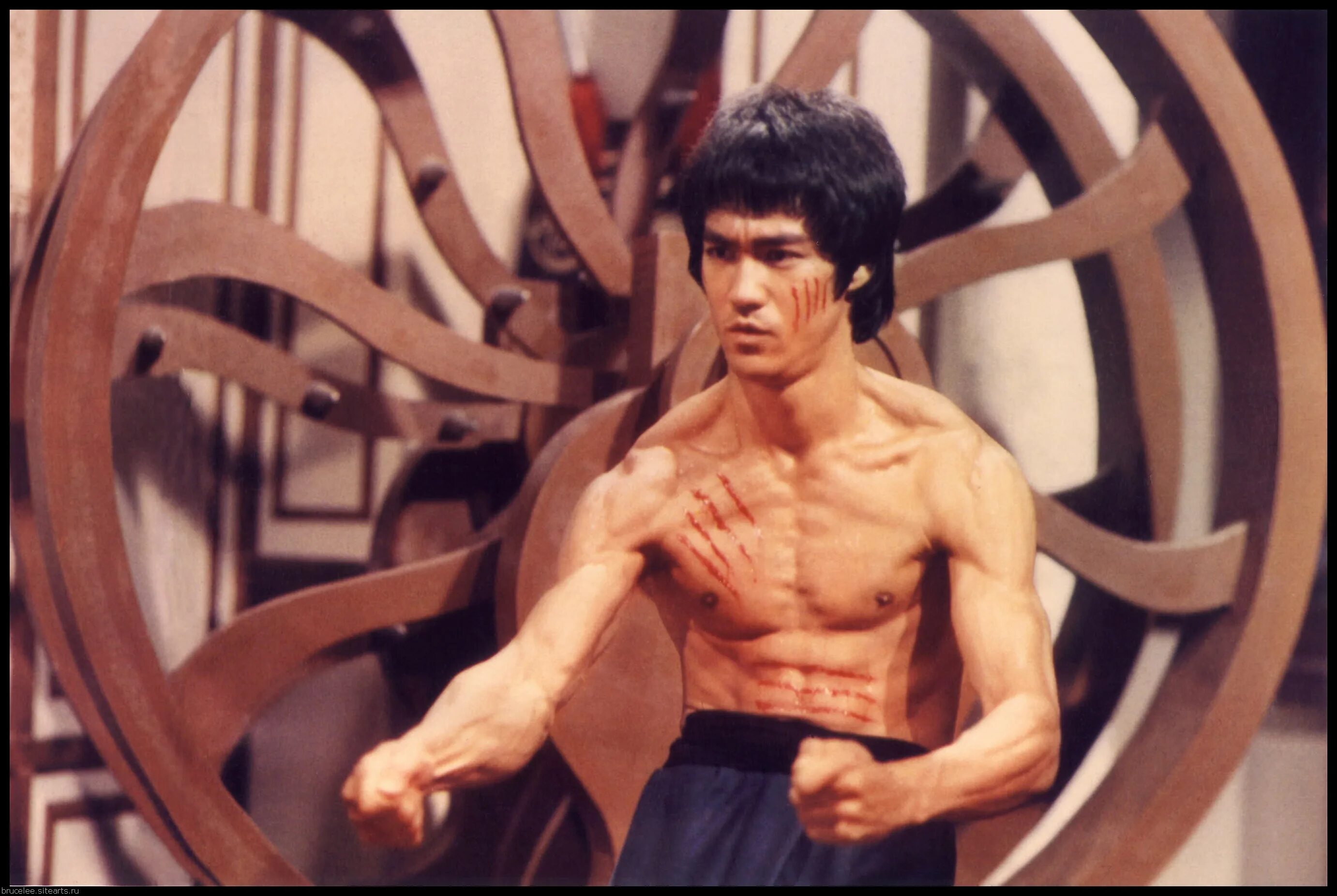 Брюс ли документальный. Bruce Lee. Брюс ли фото. Bruce Lee 1973.