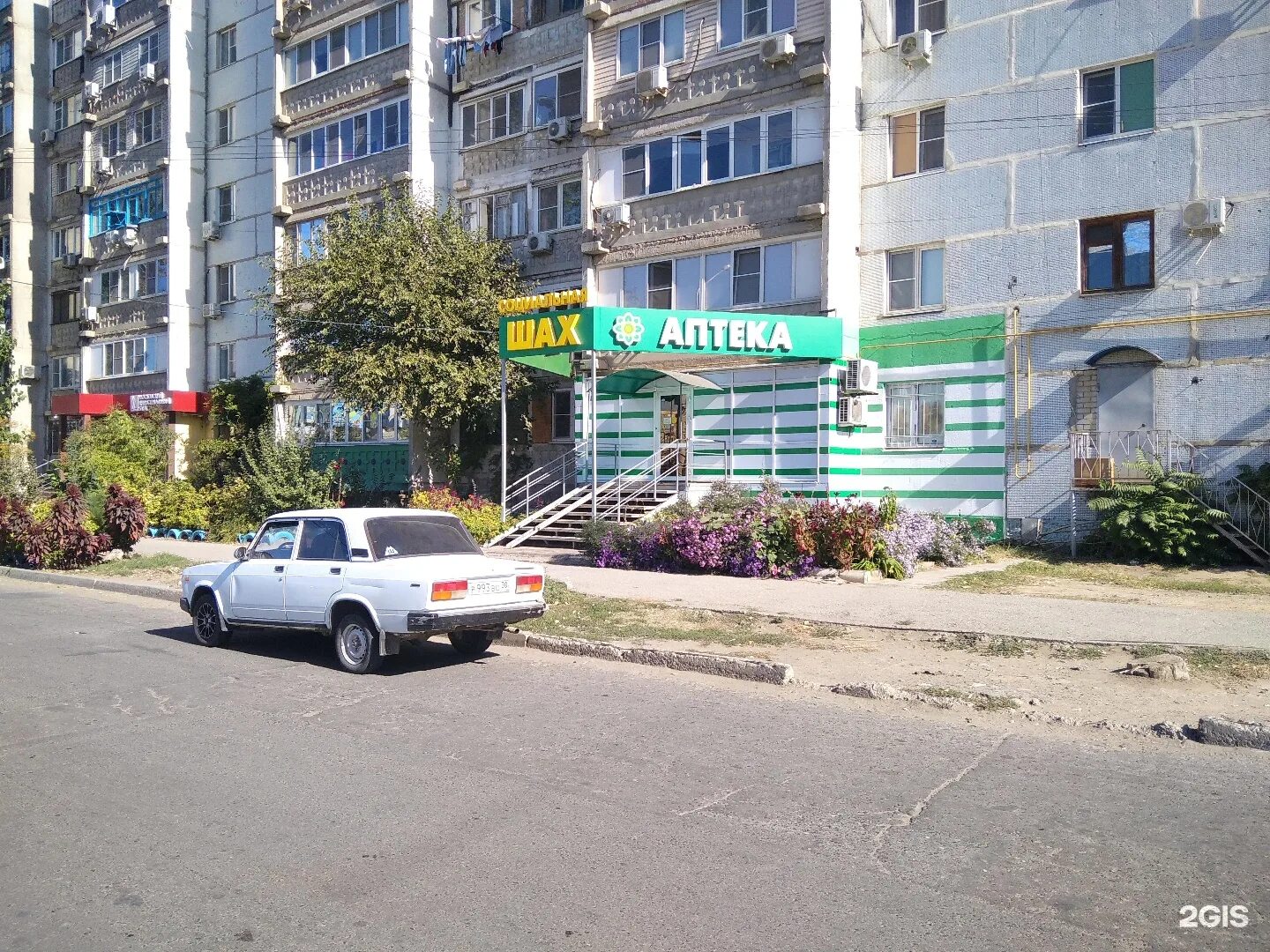 шах аптека астрахань каталог. аптека шах в махачкале. аптечная сеть шах. аптека шах махачкала. шах аптека махачкала абдулманапова.