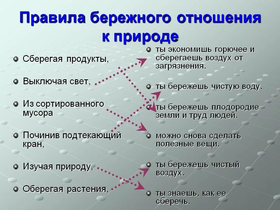 Правило отношения к природе. Правила бережного отношения к природе. Бережное отношение к природе для детей. Правило отношения к природе. Правило отношения к природе.