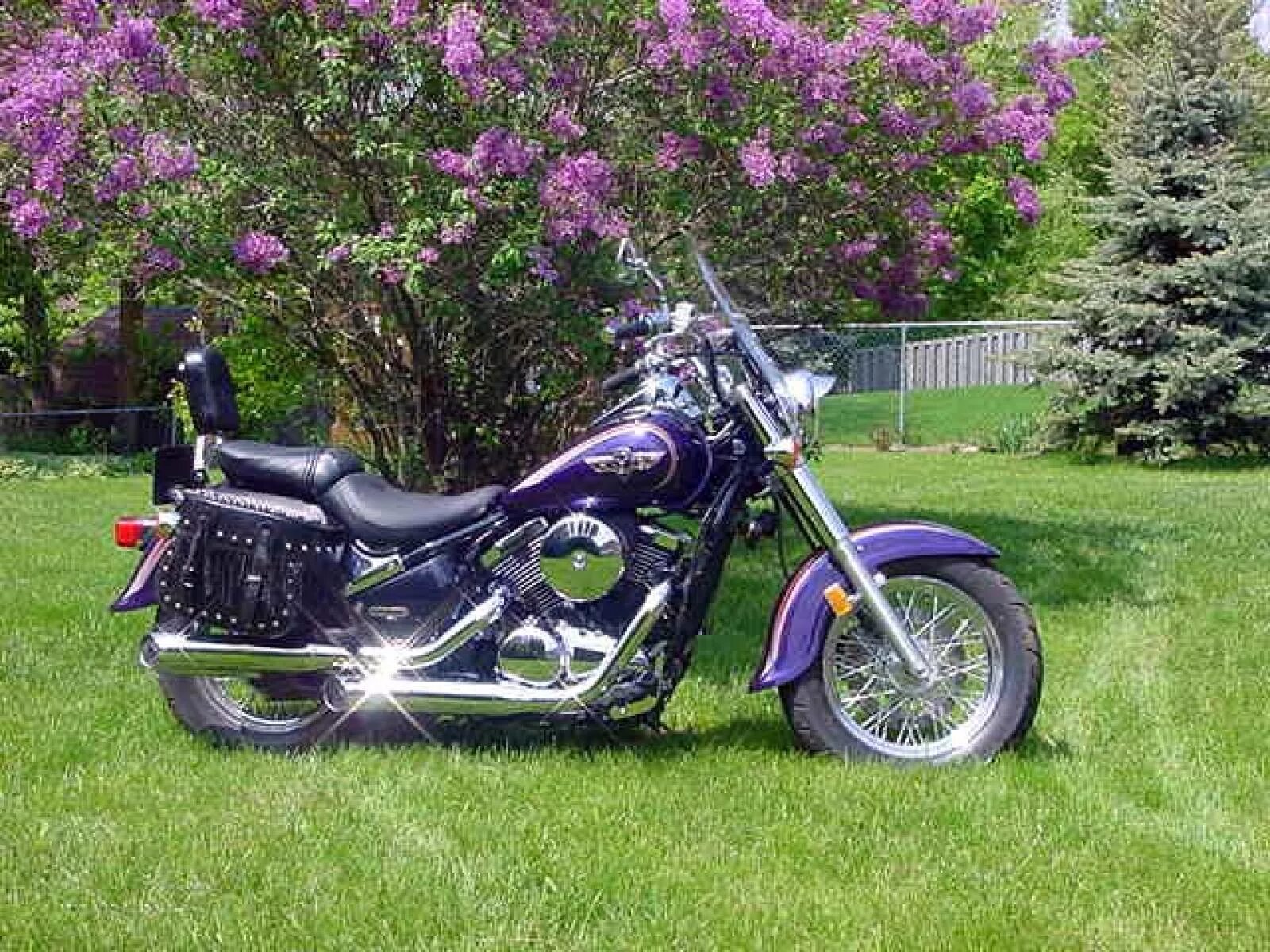 Вулкан 800. Kawasaki vulcan 800. kawasaki vulcan 800 classic. кавасаки вулкан 800 классик. kawasaki vulcan 800 classic 2002.
