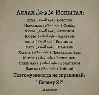 Истихара на четках
