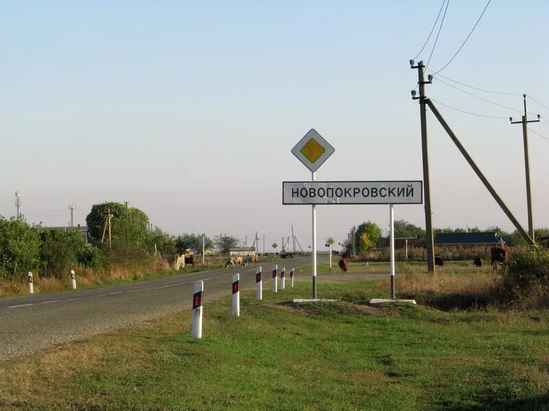Пос новопокровское. Пос новопокровское. Пос новопокровское. Пос новопокровское. Пос новопокровское.