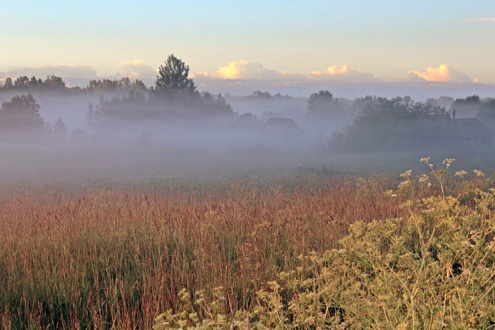 Хотеичи река нерская. Ленский поэт. Утренний туман. Утренний пейзаж. Он из германии туманной привез учености плоды.