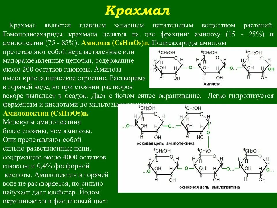 Глюкоза молекула полисахарида. Строение сахаридов. Амилопектин полисахарид. Гомополисахариды: крахмал (амилоза и амилопектин). Из чего состоят полисахариды.