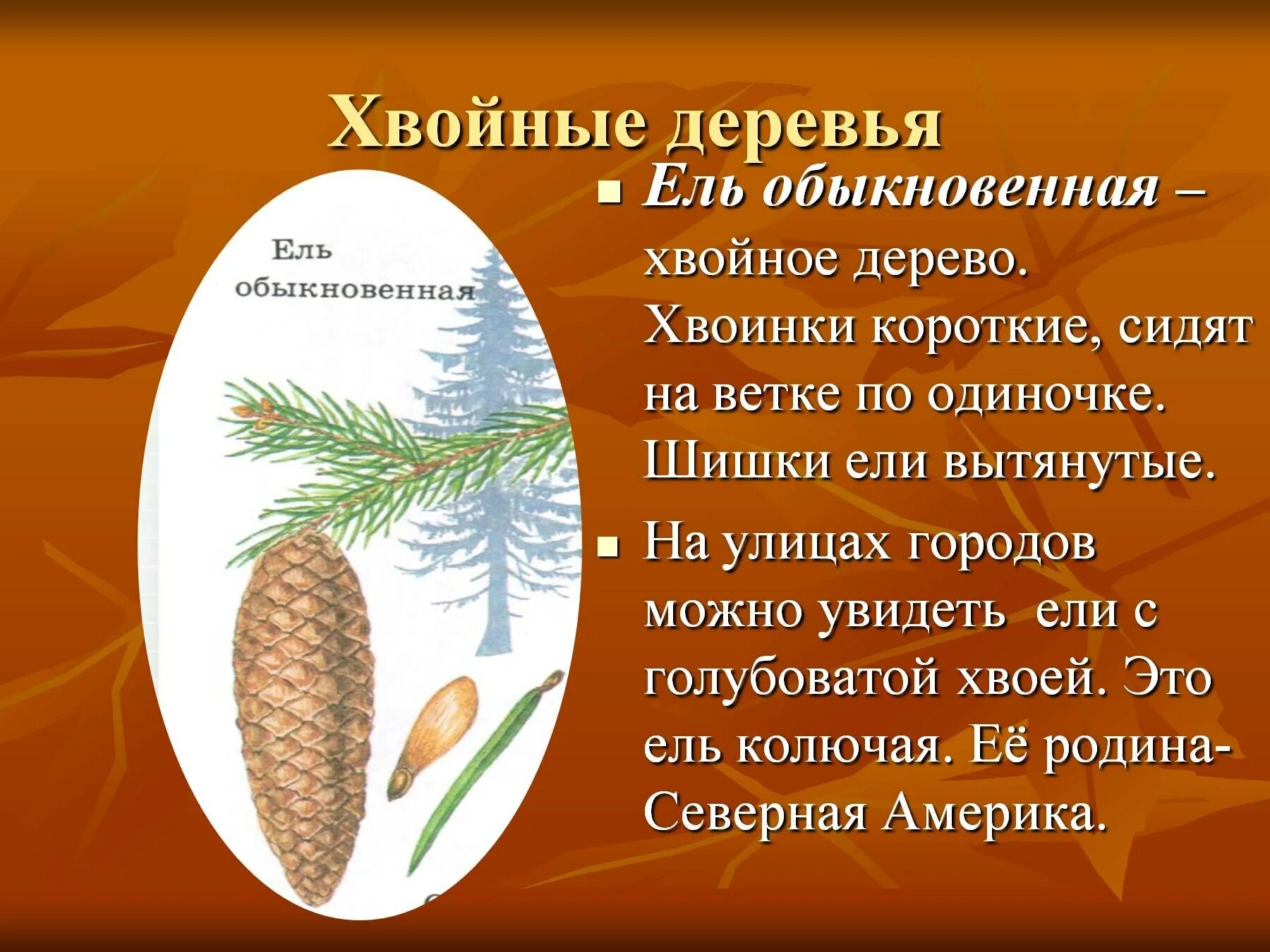 План корзина с еловыми ши. Корзина с еловыми шишками 4 класс. 16. Корзина с еловыми шишками паустовский план. Копзинка с еловыми шишками план.