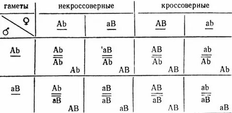 Кроссоверные особи