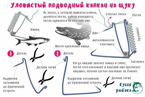 Как в капкат добавить текст