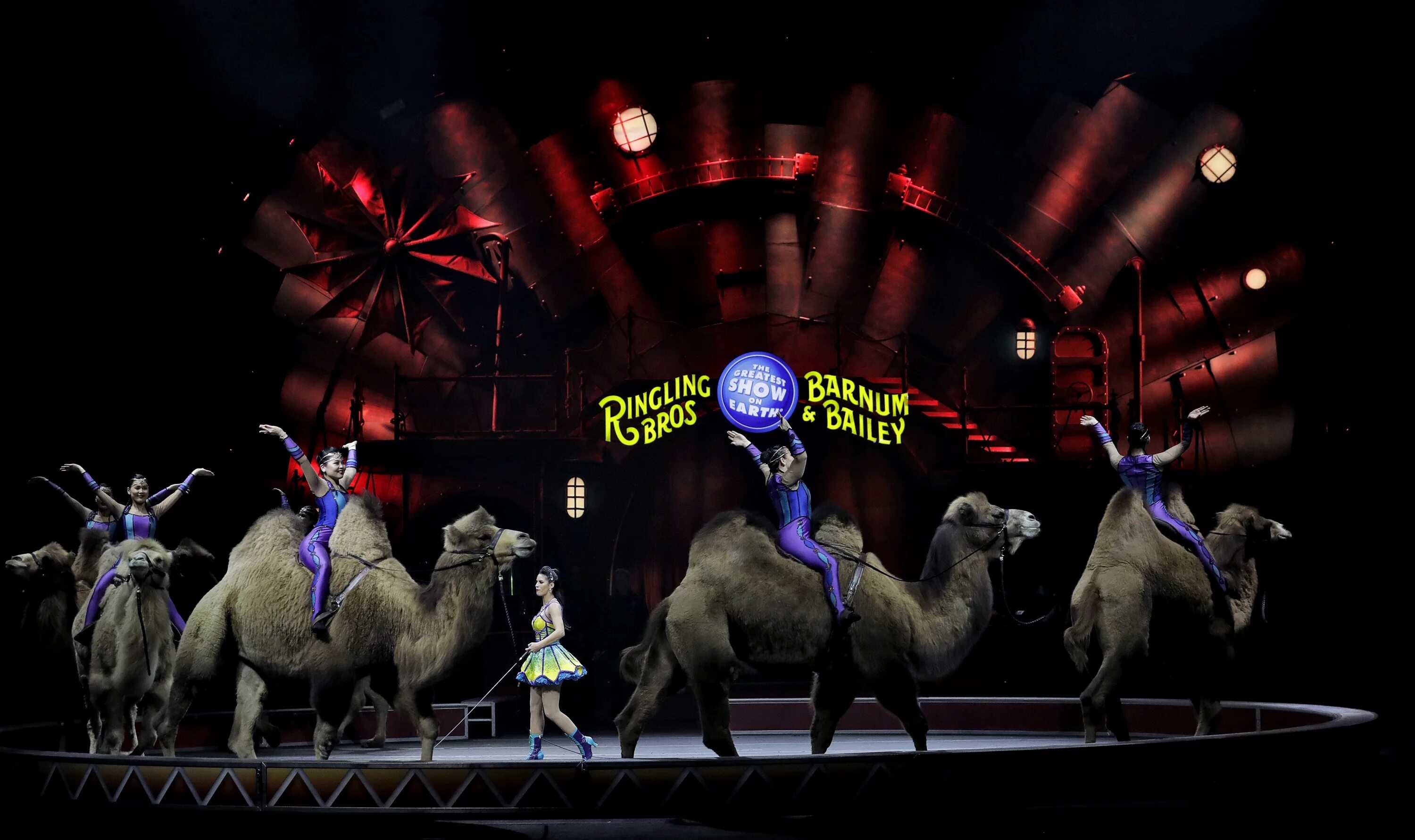 Circus its. Цирковые животные. Circus its. Сочи цирк шапито. Ringling bros.