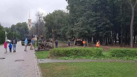 Лесопарк рязань