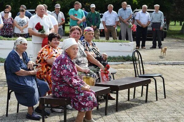 Погода в журавском ставропольского края новоселицкого. Хутор Журавский. Хутор Журавский Краснодарский край. Х Журавский Кореновского района. . Журавский (Кореновский район).