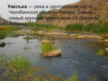 Куда впадает уй