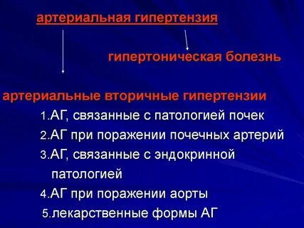 Почечных артериях гипертензия