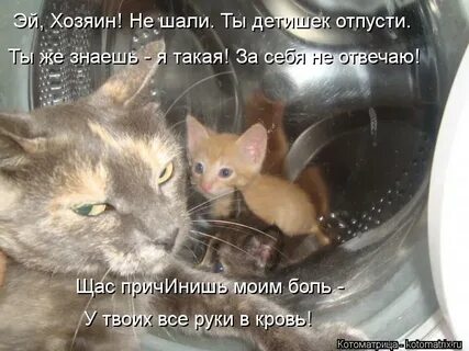 Вылазь оттуда