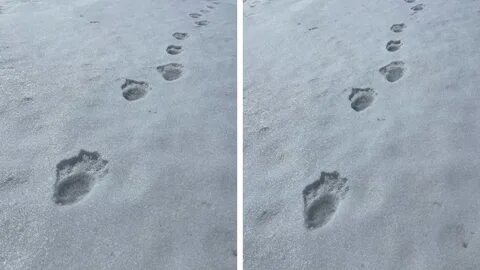 Увидела следы