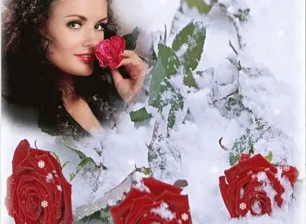 Розы на снегу песня слушать