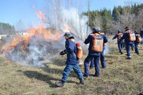 Лесные пожары мчс
