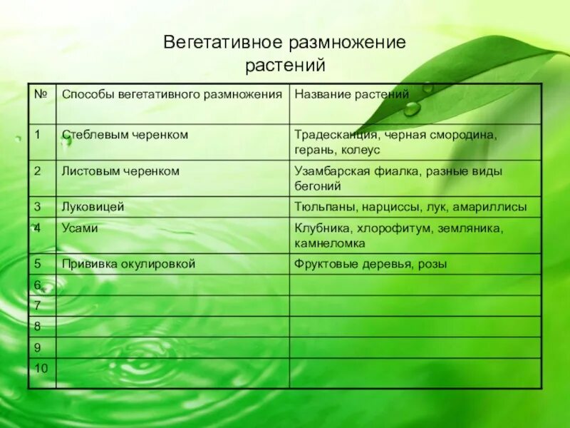 Установите соответствие способы размножения. Таблица по биологии вегетативное размножение растений. способы вегетативного размножения растений таблица. способы вегетативного размножения растений 6 класс биология. вегетативное размножение растений 6 класс.