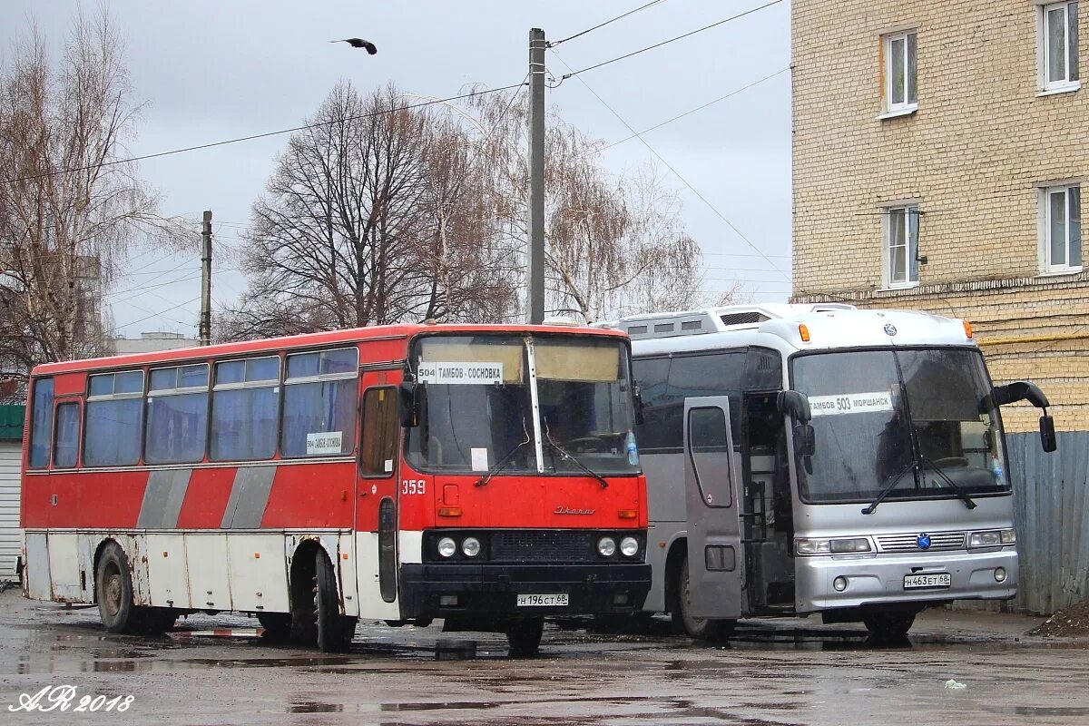 Автобус Тамбов Моршанск. АТП Моршанск. Икарус 256 Тамбов. Автобус 504 Тамбовская область Тамбов Сосновка.