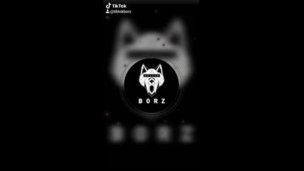 Борз ю. Борз. надпись borz. borz логотип. borz волк.