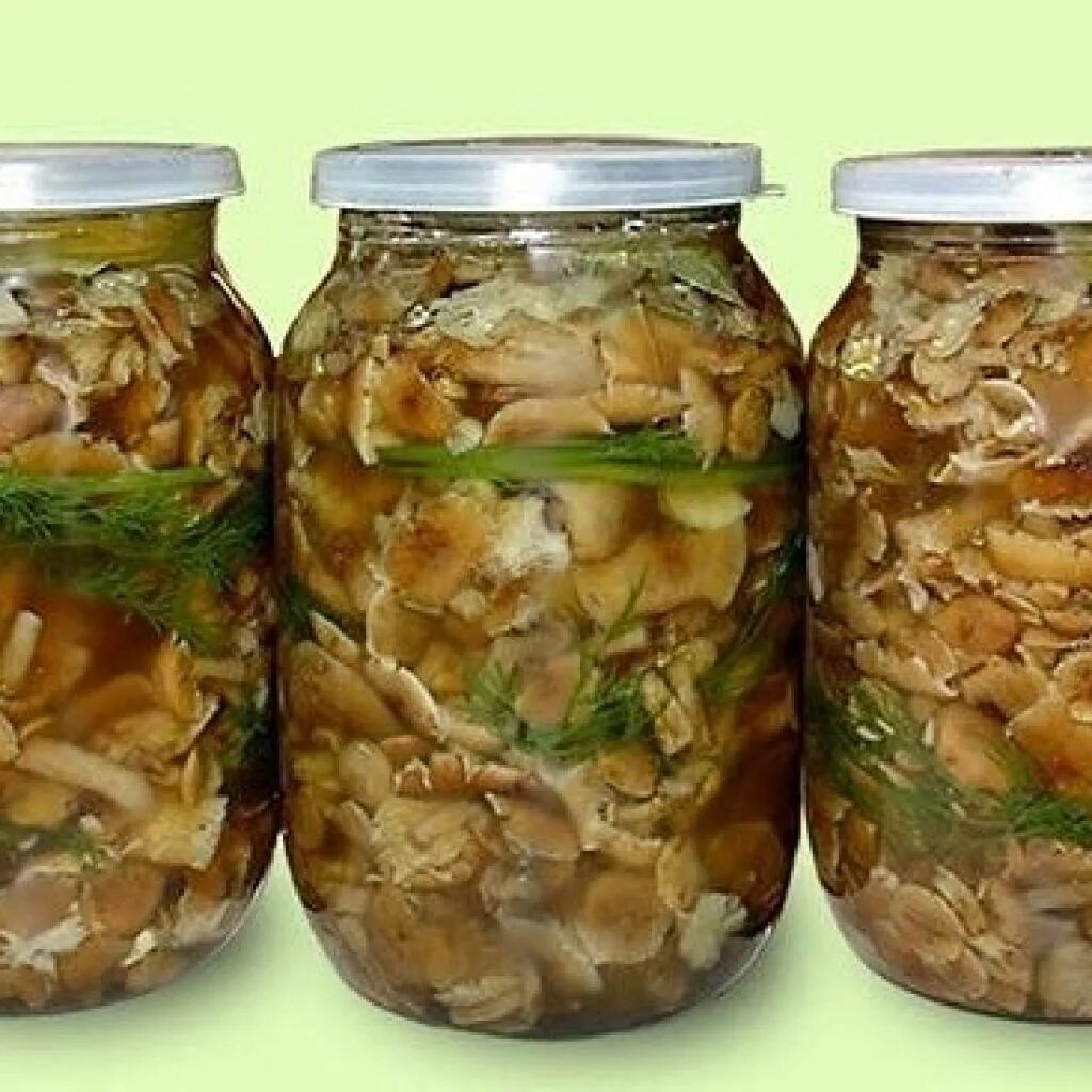 Как правильно консервировать грибы. Соленые грибы. самые вкусные соленые грибы. малосольные грибы.
