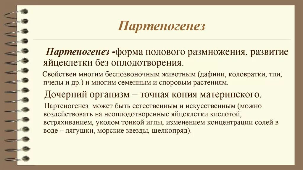 Размножается партеногенетически. Партеногенез вид размножения. Форма полового размножения партеногенез встречается. Партеногенез форма размножения. Формы партеногенеза.