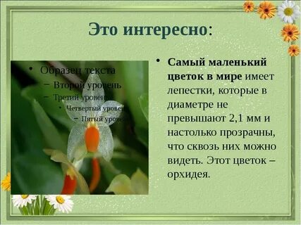 Растения и их факты