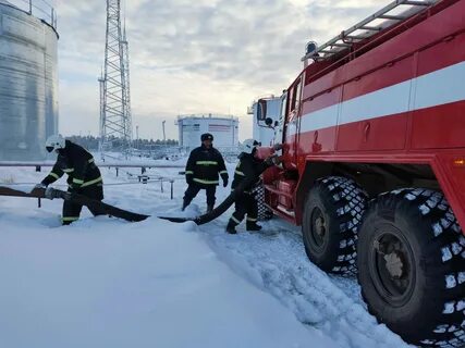 Новости птз