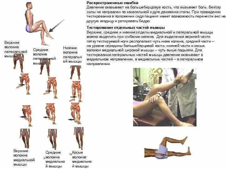 Мышцы работа мышц тест. Таблица мануального мышечного тестирования. мануально-мышечное тестирование надостной мышцы. кинезиология мышечное тестирование. тестирование мышц в кинезиологии.