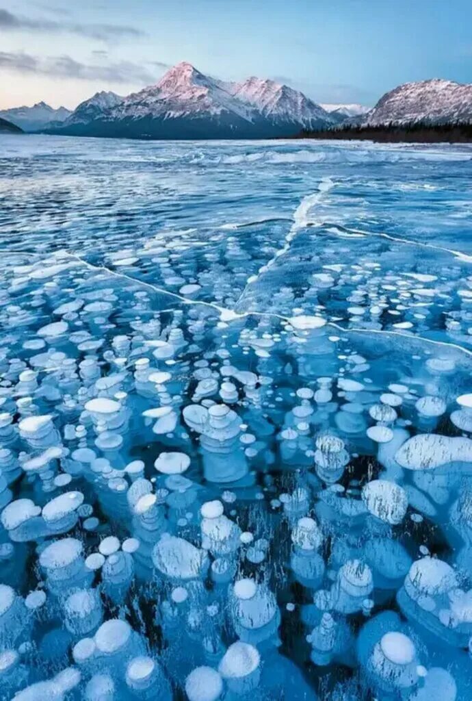 Снег замерзшая вода. Озеро Абрахам в Канаде. Ледяные пузыри озера Абрахам Канада. Метановые пузырьки на Байкале.