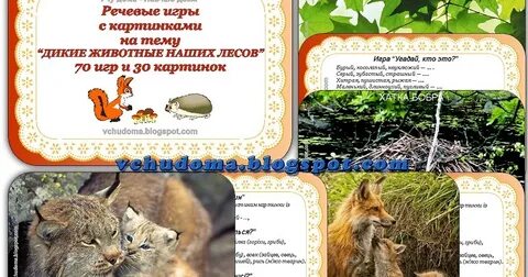 10 запросов о диких животных