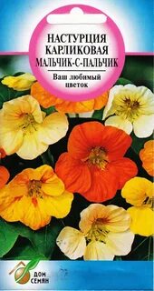 Настурция низкорослая смесь