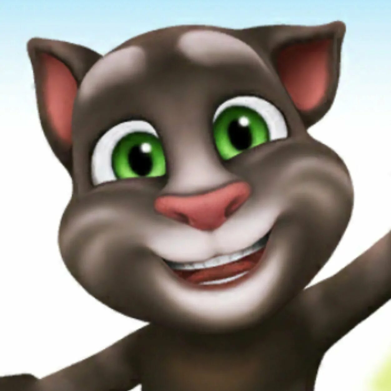 Талкинг том. Talking tom 2010. Talking tom. Talking tom 2013. Talking tom.